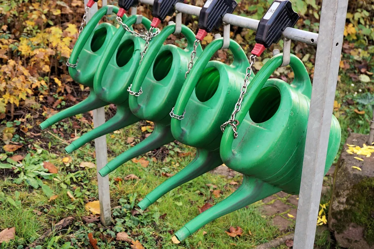 Autumn Garden Checklist: 12 Jobs to Do Before the First Frost